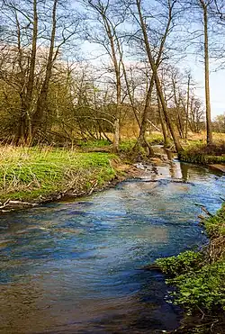 Серебрянка в Измайловском парке, 2018 год