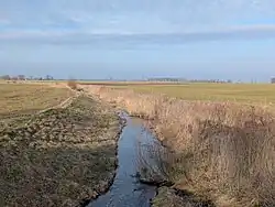 Верхнее течение Сесавы весной 2025 года