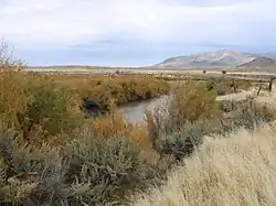 Река Севир близ города Лемингтон