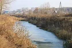 Шамка в Арзамасе