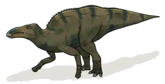 Реконструкция