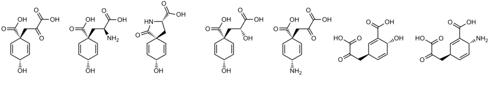 Природные циклогексадиенолы, а также им подобные циклогексадиенамины — малостабильные легко ароматизующиеся соединения шикиматного происхождения — предшественники первичных и значимых вторичных метаболитов