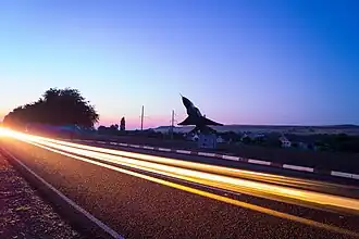 Вид на самолёт во время рассвета