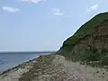 Село Пшеняново. Берег Тилигульского лимана.