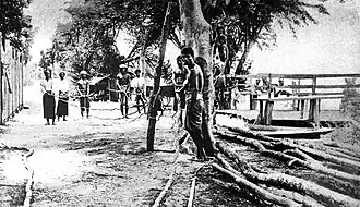 Ротанговая веревка, Тайланд, 1904