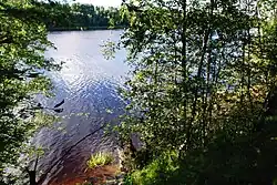 Место поселения каменного века «Синди-Лодья II»