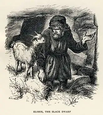 Элши, иллюстрация в издании A & C Black 1886 года.