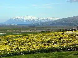 Устье Хьерадсвётна