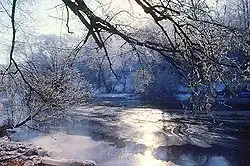 Слатина зимой