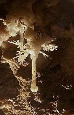 Сталактиты и арагонит, 1973 г.