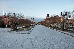 улица Смидовича