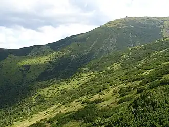 Вершина и северные склоны Смотрича