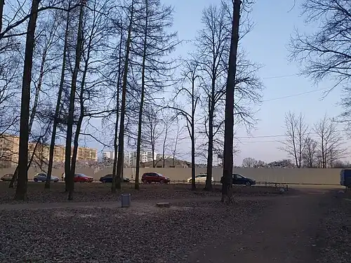 Руины Ленфильма, вид с южной окраины Демидовского парка (апрель 2023 г.).