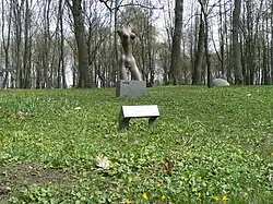 «Торс» (Й. Мицкявичус, 1979)