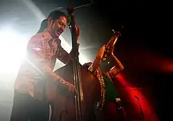 Акита Голдман