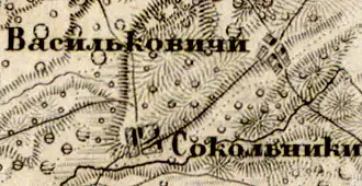 Деревня Васильковичи на карте 1863 года