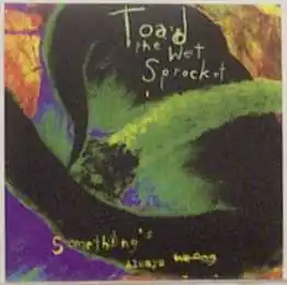 Обложка песни Toad the Wet Sprocket «Something's Always Wrong»