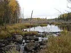 сентябрь 2006 года, малая вода.