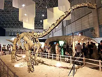 Реконструированный скелет