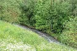 Река Сосенка у деревни Летово после Летовского пруда