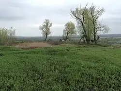 Озеро около ул. Березовка. 2014