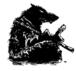 Сплинтер в Teenage Mutant Ninja Turtles #1 (Май 1984)Художники — Кевин Истмен и Питер Лэрд.