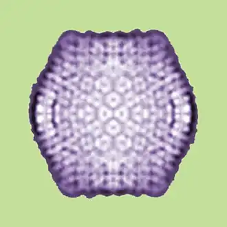 Вирофаг Спутник (Mimivirus-dependent virus Sputnik)