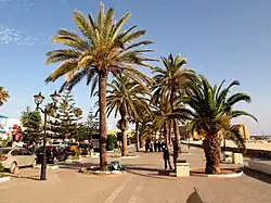 Бульвар, ведущий к Медине