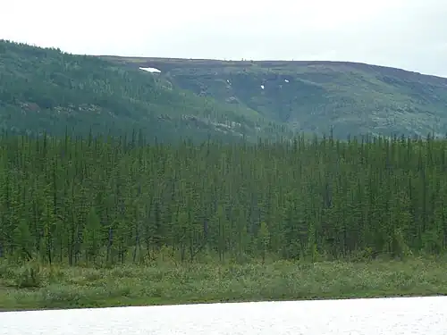 Среднесибирское плоскогорье, вид с реки Нижняя Тунгуска (плато Путорана)