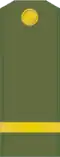 Погон старшего солдата сухопутных войск