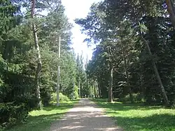 Дендропарк Степанавана