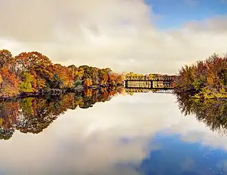 Still Waters Run Deep