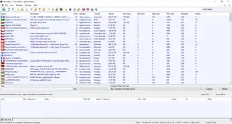 Скриншот программы StrongDC++
