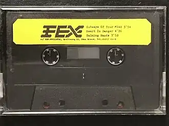 Обложка песни Fex «Subways of Your Mind»