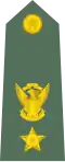 Lieutenant Colonel