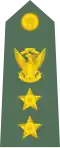 Colonel