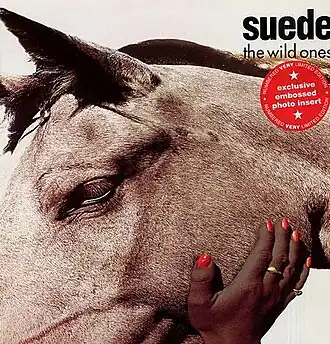 Обложка сингла Suede «The Wild Ones» (1994)