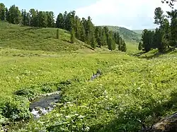 Верховья реки