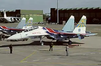 Су-27 «Русских Витязей» (1991)