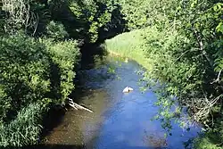 Светупе около Лаувы[латыш.] летом 2017 года