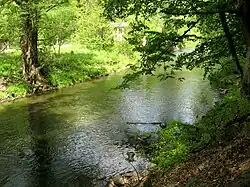 Нижнее течение Свитавы весной 2008 года