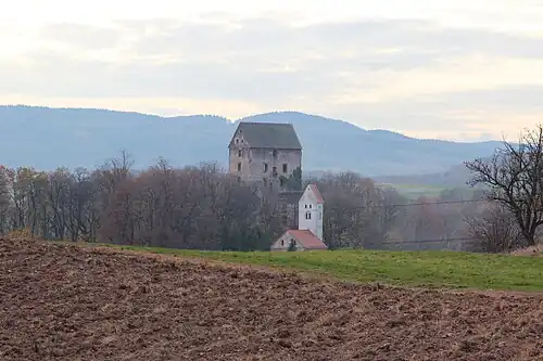 Панорама замка и соседнего костела