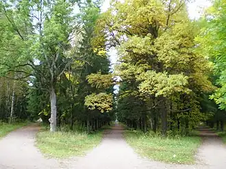 Три аллеи при входе в парк