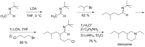 Synthesis of stenusine