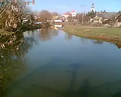 Тршебувка в Лоштице весной 2007 года