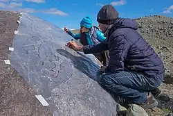 Изображения людей для масшттаба