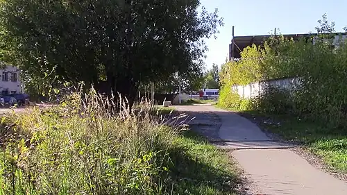 Скоростной поезд «Стриж» проезжает в ста метрах к югу от платформы Ленская по главному ходу Горьковского направления МЖД.