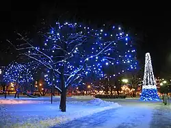 Парк перед Рождеством, 2006 год