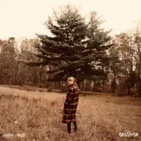 Обложка сингла Тейлор Свифт «Willow» (2020)