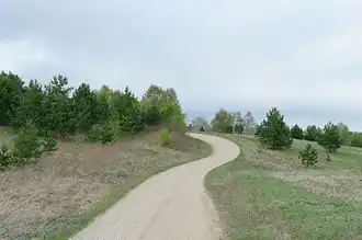 Дорога в деревню Куры